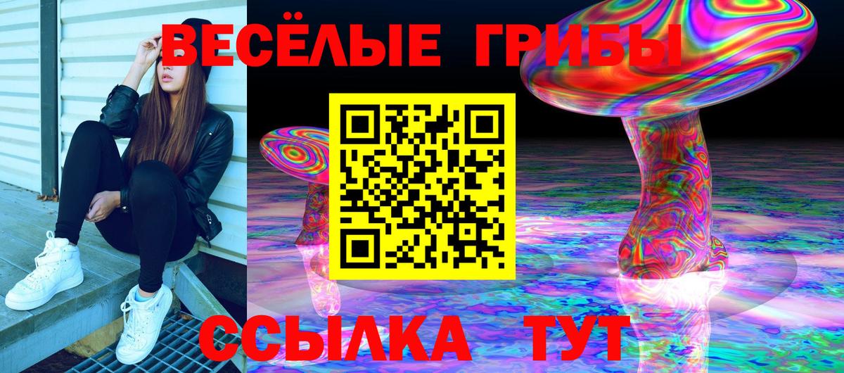 Новодвинск  закладка  Вход с VPN  Галлюциногенные грибы GOLDEN TEACHER 