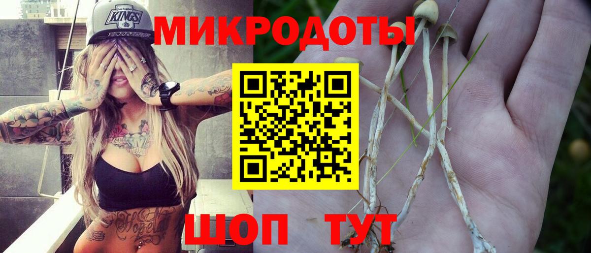 Галлюциногенные грибы Magic Shrooms Новодвинск